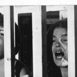 Bitefovskim rečnikom: Percipiranje sveta i njegovo komentarisanje 4