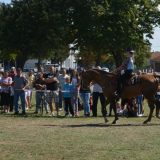 Svilajnac: Uskoro gradnja hipodroma 10