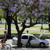 MMF povećava pomoć za Argentinu 13