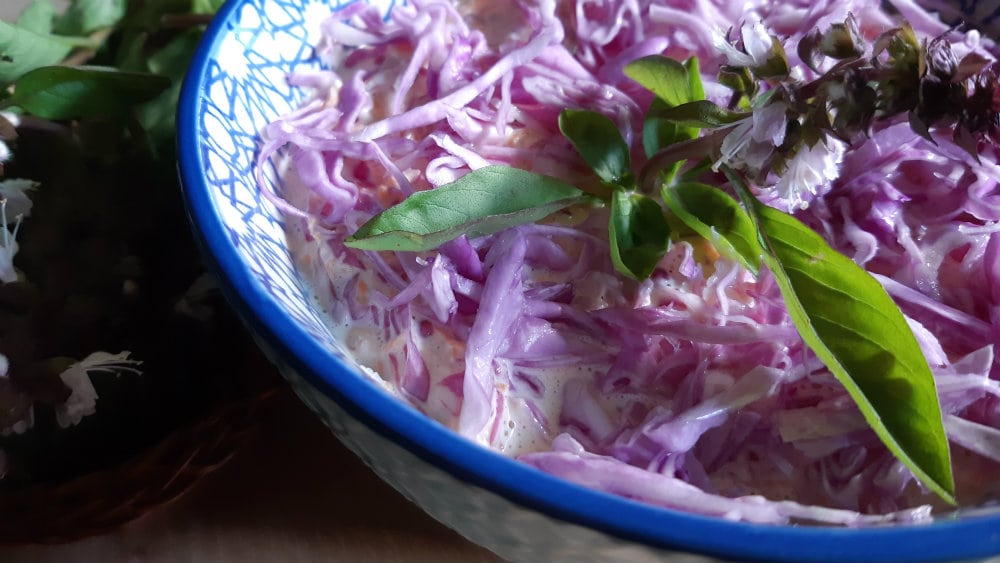 Coleslaw - Ljubičasta salata (recept) 1