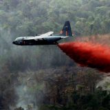 Kako je knjiga za decu inspirisala jednog naučnika 10