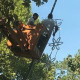 Postavljanje novogodišnje dekoracije počelo je danas 2