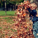 Koliko su hodalice opasne za decu? 5