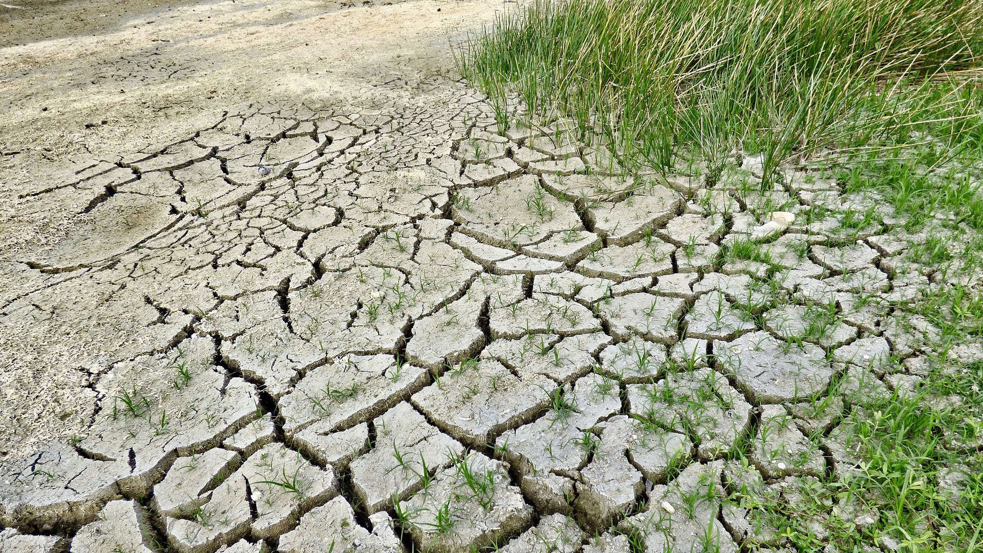 Pet izazova za zaustavljanje klimatskih promena 1