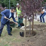 Dačić zasadio prvo od 30 stabala japanske trešnje ispred Muzeja Jugoslavije 2