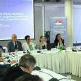 Šabić: Zakon treba pametno menjati 10