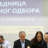 Lutovac: Savez nas ne sprečava da vodimo našu programsku politiku 7