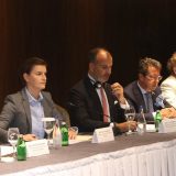 Brnabić: Ustavne reforme ne zbog EU, već zbog građana Srbije 3