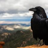 Filmski vodič od 20. do 26. septembra 6