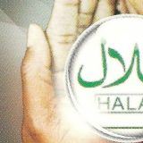 Zigler: Promocija halal hrane 13
