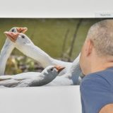 Zrenjanin: Dela prve fotografske kolonije 4