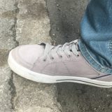 Zbog izmeta ljubimaca svega 66 postupaka za dve godine 1