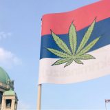 Srbija (ne) razmišlja o dekriminalizaciji marihuane 14