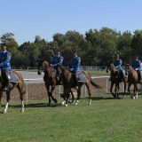 „Kup Vojske Srbije – Karađorđevo 2018“ od 28. do 30. septembra 3
