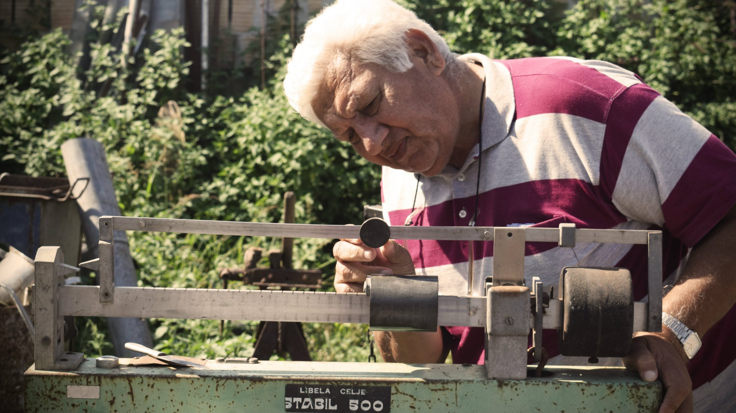 Starenje kroz objektiv mladih fotografa 1