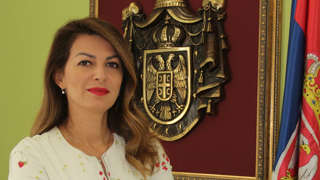 Delegacija Srbije u Kini na konferenciji o digitalnoj ekonomiji 1