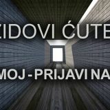 Nasilje u porodici: „Zidovi ćute, ti nemoj - prijavi nasilje“ 9