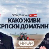 Babić: Vuk Jeremić je samo maskota narodnjacima 5