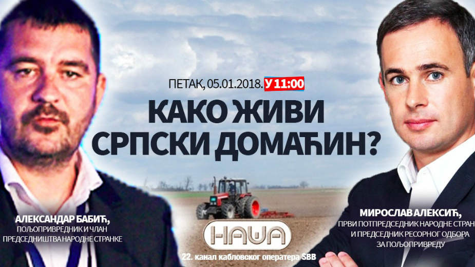 Babić: Vuk Jeremić je samo maskota narodnjacima 1