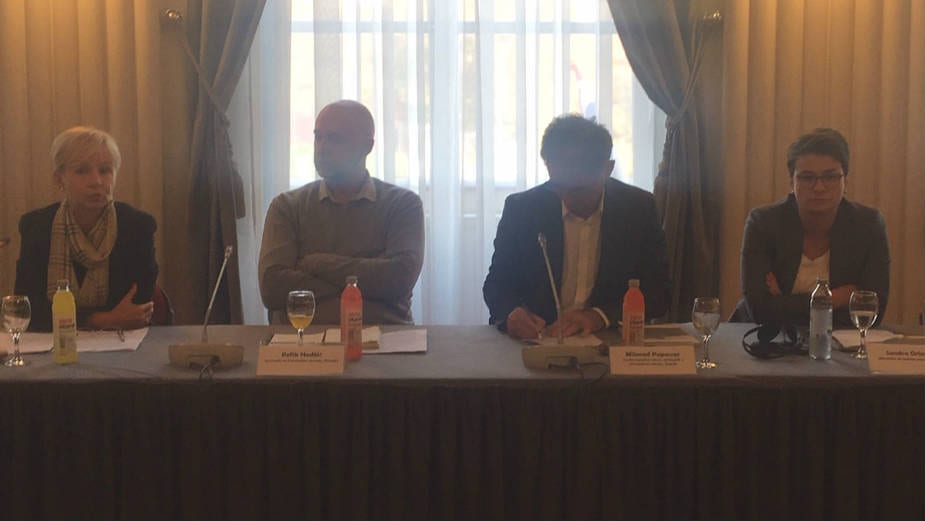 Regionalna saradnja zamire, odnos prema Hagu selektivan 1