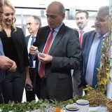 Krkobabić: Imamo 311 novih zadruga 1