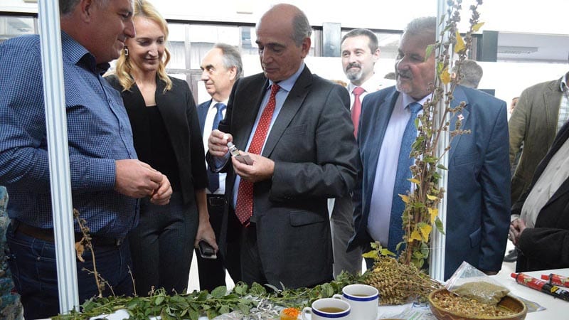 Krkobabić: Imamo 311 novih zadruga 1