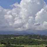 Kako klimatske promene "prazne" portorikanske kišne šume 10