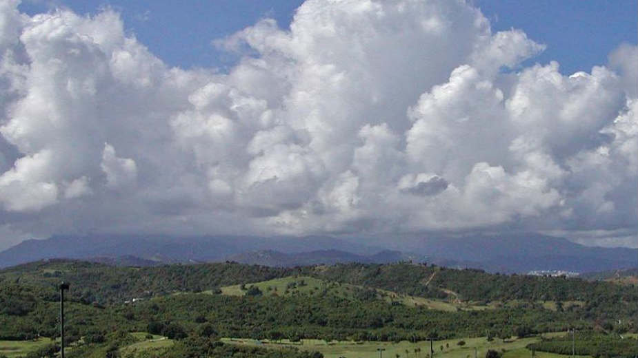 Kako klimatske promene "prazne" portorikanske kišne šume 1