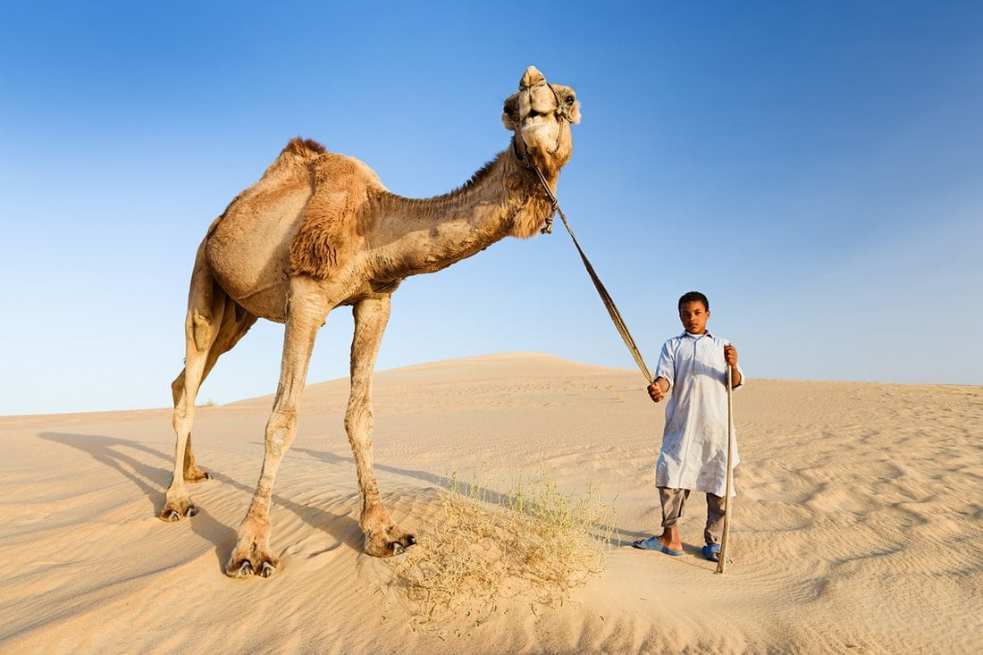 Dečak sa kamilom u Sahari