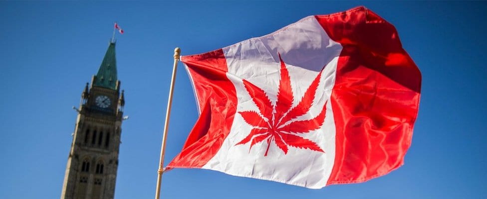 Kanadska zastava sa listom marihuane umesto javora
