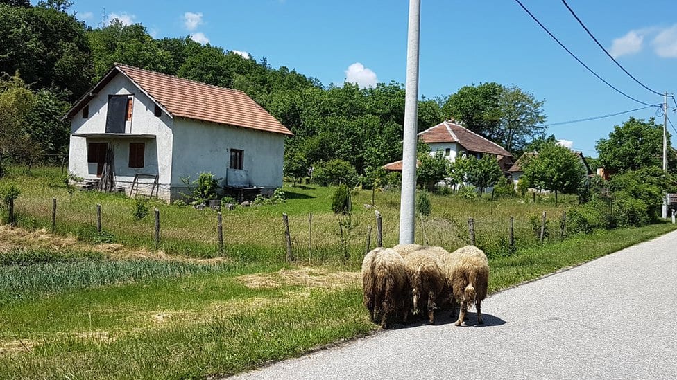 Siromaštvo u Srbiji: Pola miliona stanovnika nema ni za osnovne potrebe 4 Selo