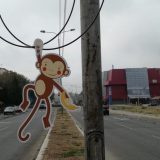 Majmuni i rode na propalim kablovima: Kako niški „gerilci“ ironijom rešavaju gradske probleme 6