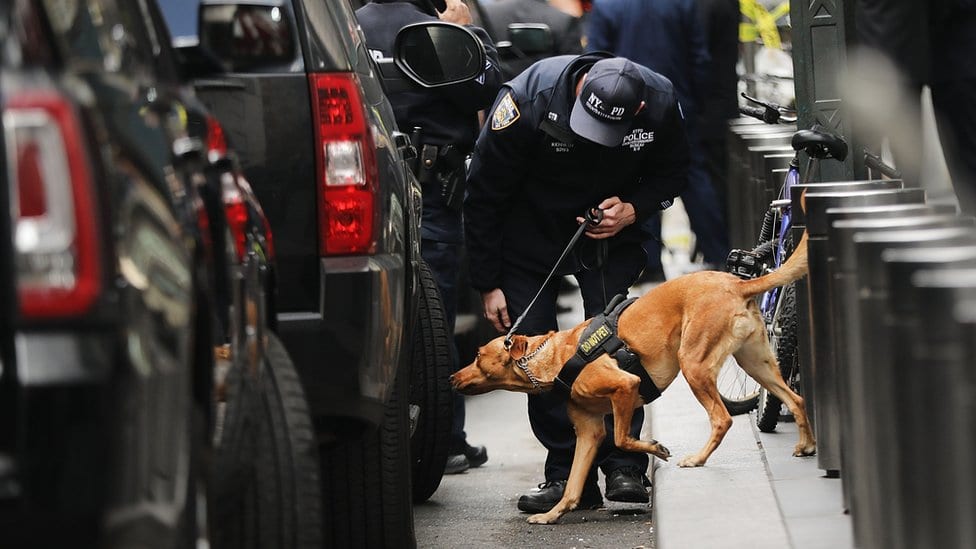 policija i pas, istraga