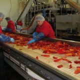 Podrška od 900.000 evra 12