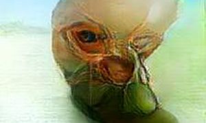 Mašina koja pretvara misli u umetnost 2