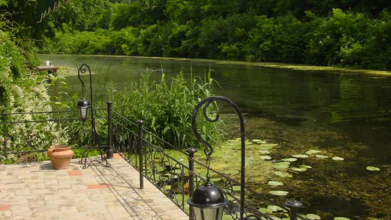 Dijalog punog Meseca i moćnog Dunava 1