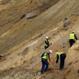 Bor: Posadiće 50.000 bagrema 6