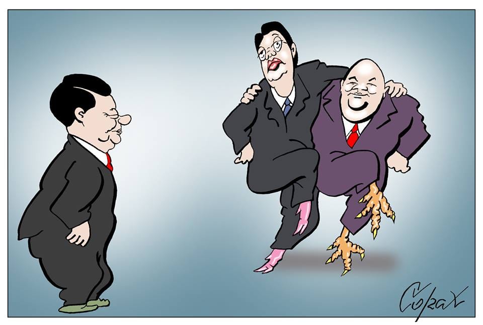 Corax 12
