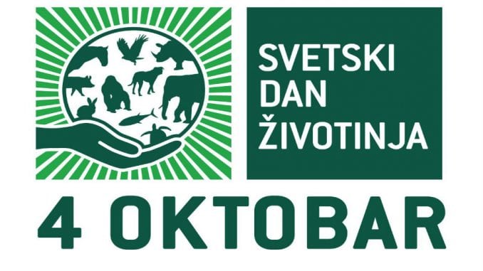 Za brigu o napuštenim životinjama potrebno je malo dobre volje i vremena 1