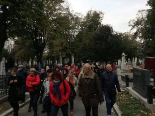 Neispričane priče Aleje velikana (FOTO) 9