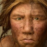 Genetski poklon od neandertalaca 2
