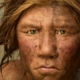 Genetski poklon od neandertalaca 5