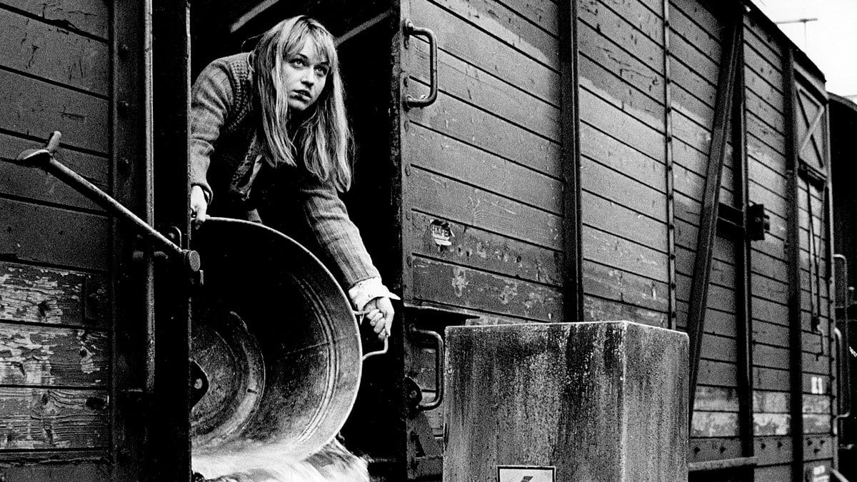 Zoranov brk Anici Dobri 1