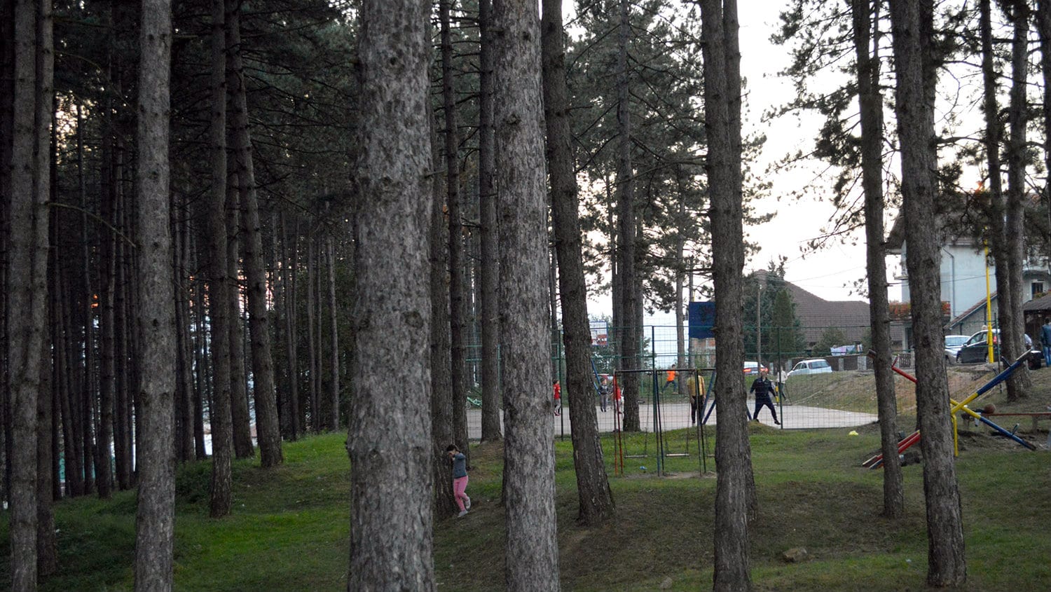 Da li će nestati jedina park-šuma u Požegi? 1