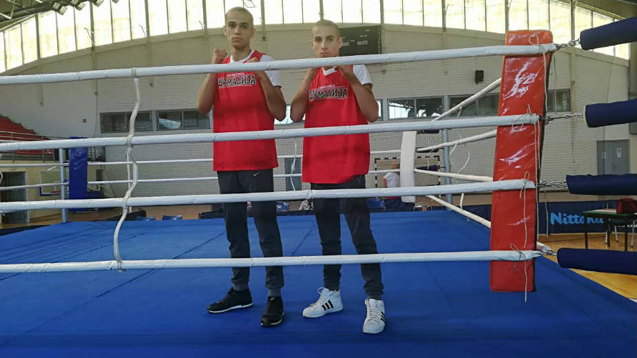 Braća na tronu 1 Braća na tronu 1