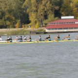Daljinska regata 13. oktobra u Novom Sadu 13