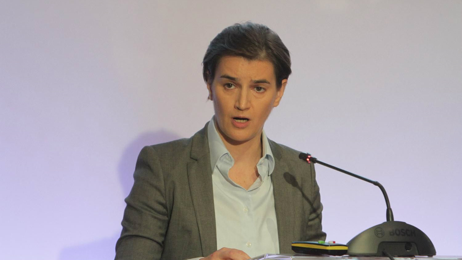 Brnabić: Verujem da će Srbija na vreme dostaviti izveštaj GRECO-u 1