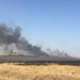 Uhapšen zbog požara na Okanj bari 10