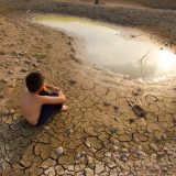 Samo pet odsto živog sveta divlje vrste 3