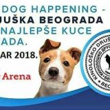 Druženje dece i pasa ispred Štark Arene 6. oktobra 2